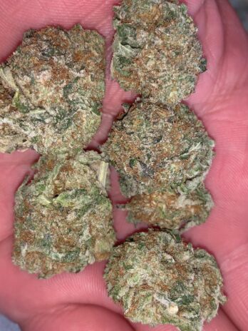 Buy Durban Poison